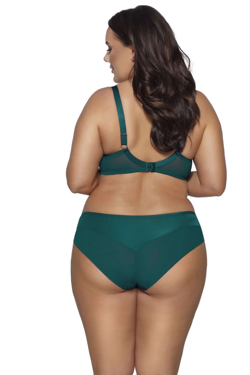 2088 трусы (образец)